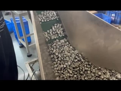 Valve à aérosol mesurée Valve à aérosol mesurée en plastique de 1 pouce Valve à aérosol mesurée de 1 pouce Va