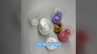 Pro Hair Mousse Valve 360 ​​Distribution