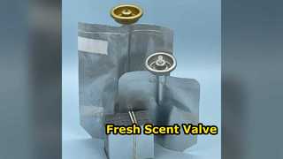 Valve de désodorisant pour un parfum d'intérieur parfait.
