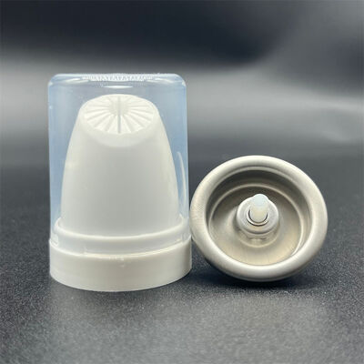 acheter Distributeur de mousse capillaire aérosol thermoprotectrice pour utilisateurs fréquents d'outils chauffants, avec prévention des dommages et technologie de fixation de la coiffure fabrication en ligne