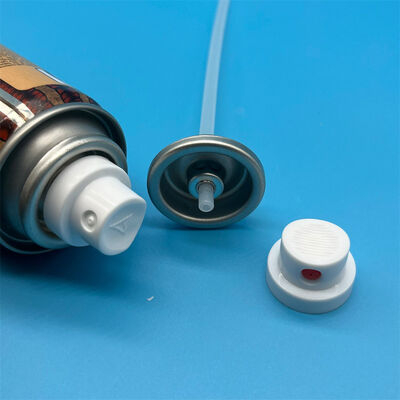acheter Dry Shampoo Spray Valve with Anti-Clog Seal for Private Label Brands fabrication en ligne