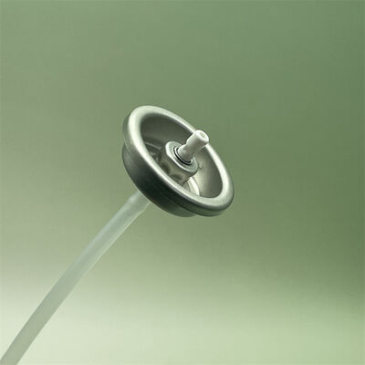 acheter Valve aérosol durable de 1 pouce conçue pour un gonflage de pneus fiable et des applications de réparation rapide fabrication en ligne