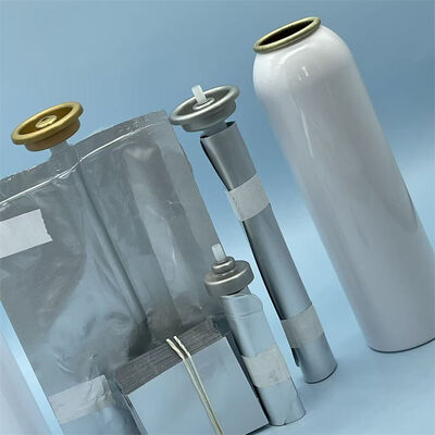 acheter Sac aérosol sur valve de taille personnalisée, poche aérosol flexible sur valve pour cosmétiques et sprays ménagers, sac aérosol sur valve de taille sur mesure pour une distribution de précision fabrication en ligne