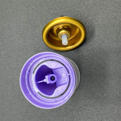 Distributeur de mousse coiffante en aérosol respectueux de l'environnement pour les marques de beauté verte avec des composants recyclables