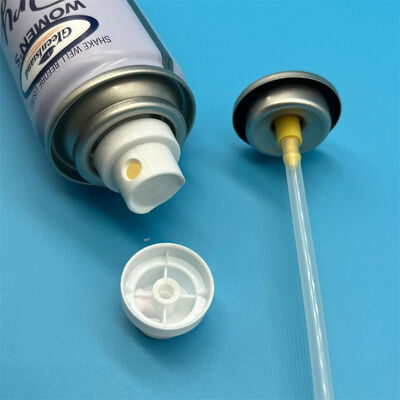 Valve de pulvérisation de shampooing sec Conception avancée de vanne pour la distribution de poudre fine