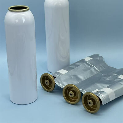 Système d'aérosol professionnel de type sac dans la valve pour femmes avec contrôle de stérilité amélioré